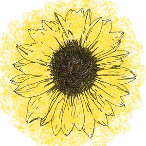 Meet your Posher, Gracie